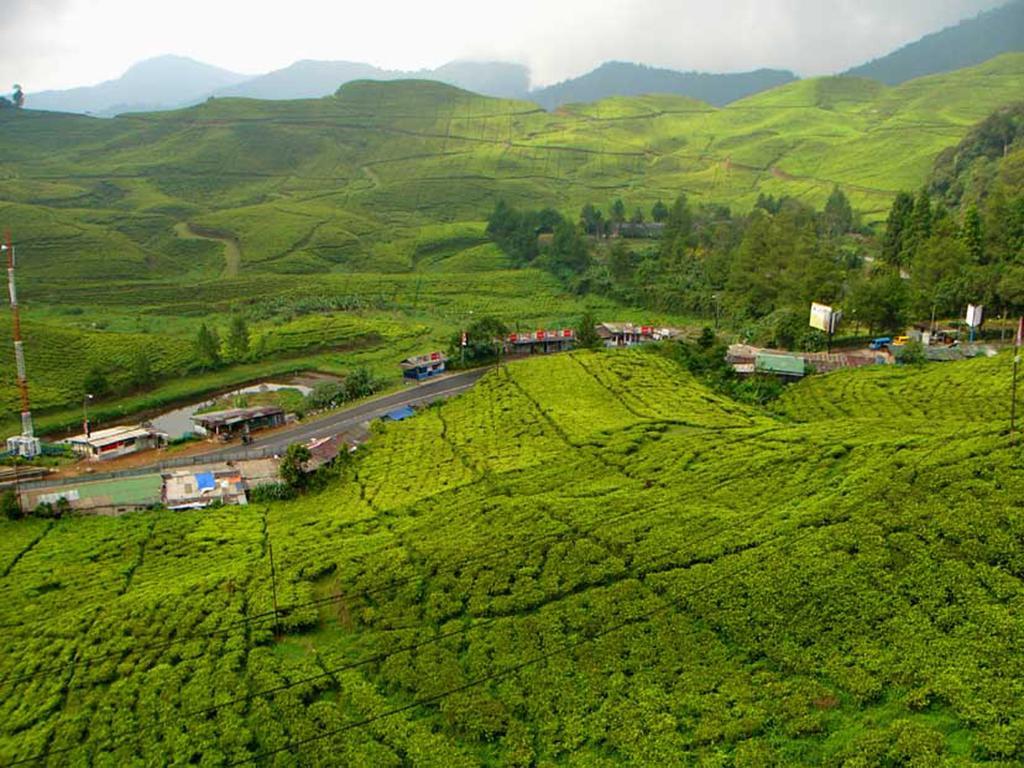 茂物山谷酒店 外观 照片